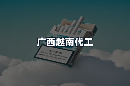 广西越南代工